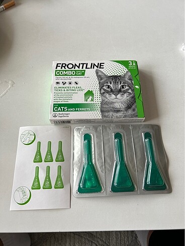Kedi pire,bit,kene dış parazit