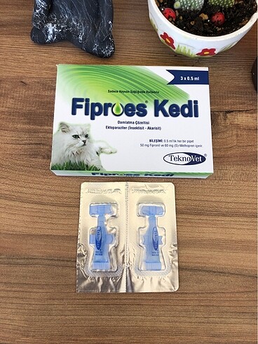 Kedi dış parazit