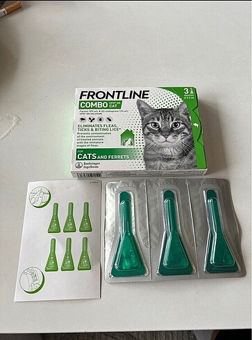 Kedi bit pire kene dış parazit