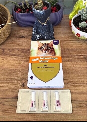 Advantage multi kedi iç ve dış parazit