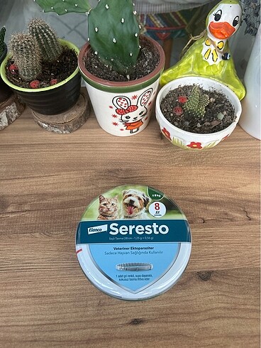 Seresto kedi köpek pire tasması