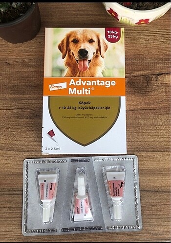 Köpek iç ve dış parazit