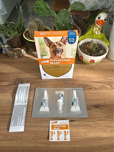 Köpek iç dış parazit damla