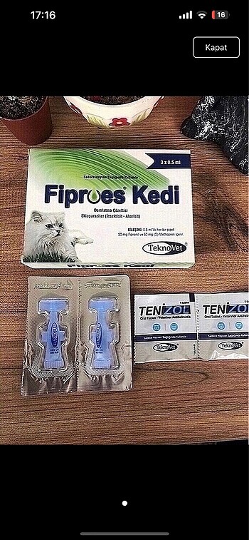 Kedi iç dış parazit