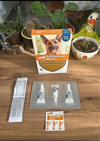 Köpek iç dış parazit