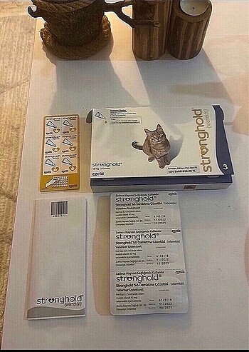 Stronghold Kedi pire damlası