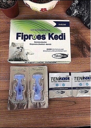 Kedi iç dış parazit
