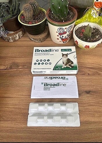 Broadline kedi iç dış parazit