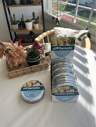 Seresto kedi köpek pire tasması