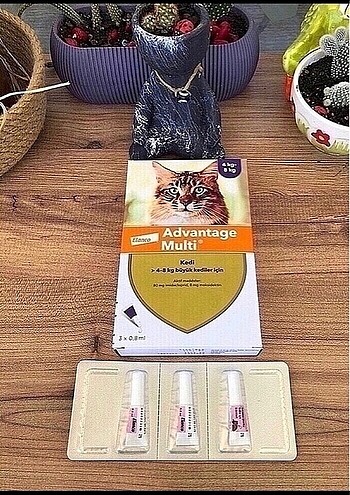 Kedi iç dış parazit