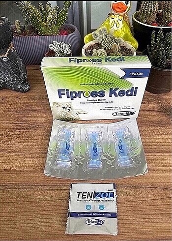 Kedi iç dış parazit