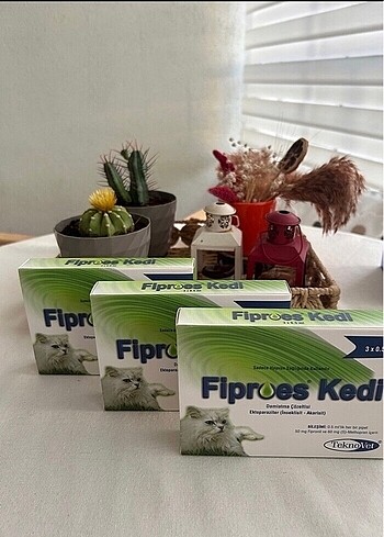 Kedi dış parazit