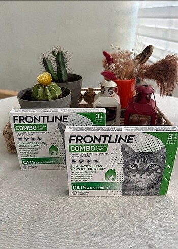 Kedi pire damlası