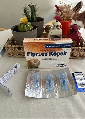 Köpek dış parazit
