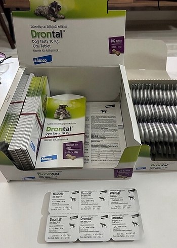 Köpek iç parazit