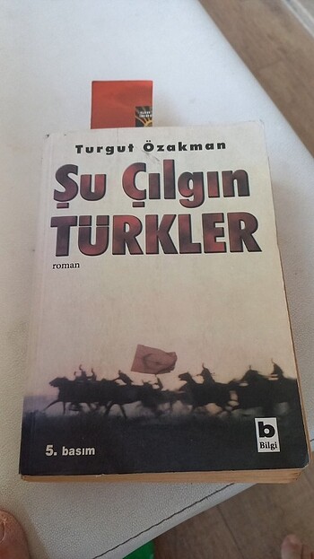 ŞU ÇILGIN TÜRKLER