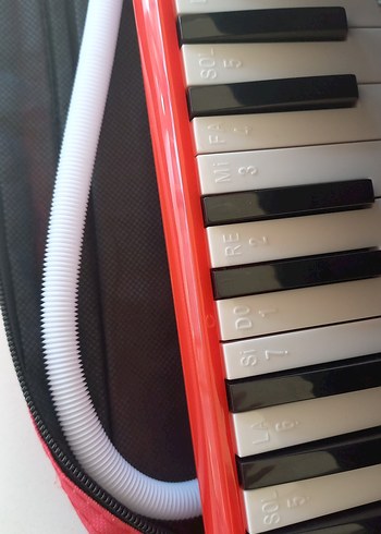 Beden Renk Ticon Melodika 32 Tuşlu melodika