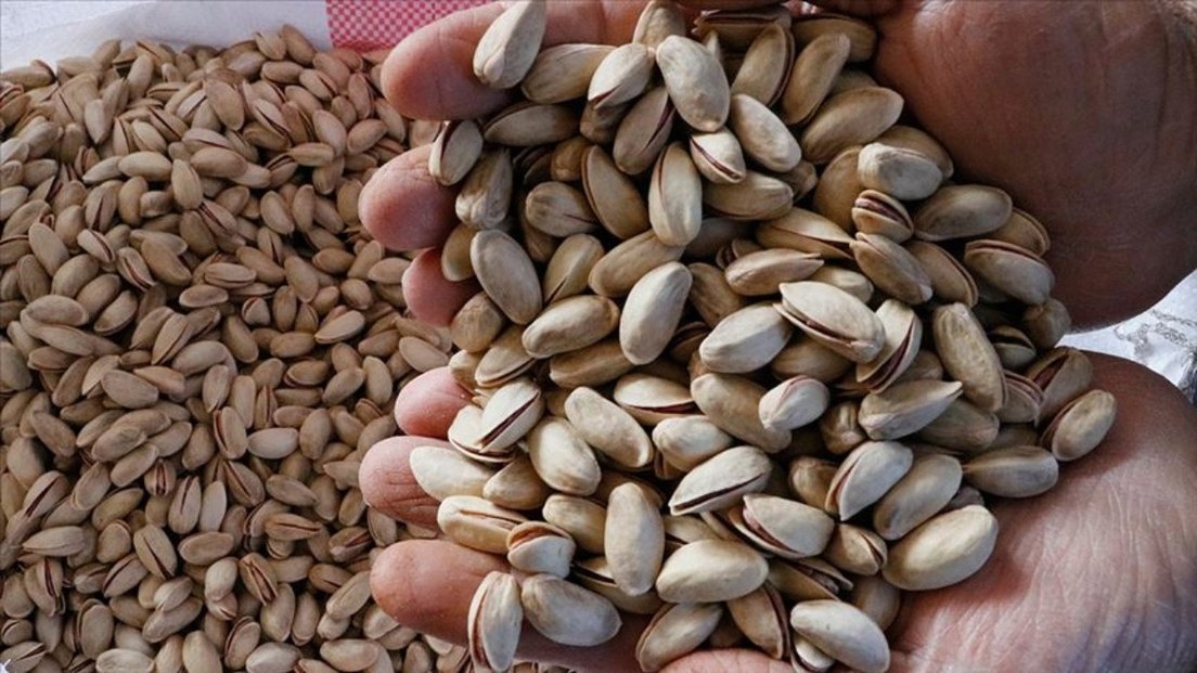 Kabuklu Antep Fıstığı 1 kg - Görsel 3