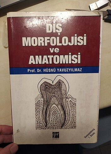 Diş Anatomisi Ve FİZYOLOJİSİ