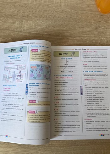 Beden Renk Apotemi Sistemler