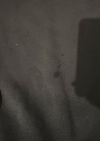 Siyah Kadın Süet Sweatshirt - Görsel 2