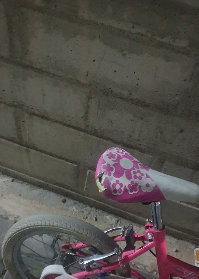 Bisiklet  - Görsel 5