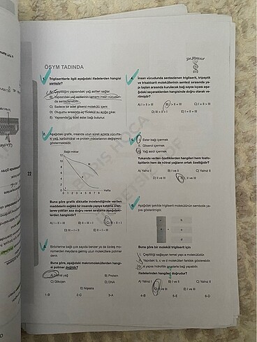  Beden Renk tyt doktor biyoloji ders notları konu anlatımı