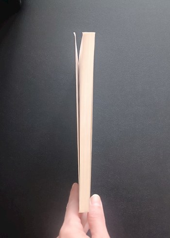 Dünyanın Merkezine Yolculuk - Jules Verne - Görsel 3