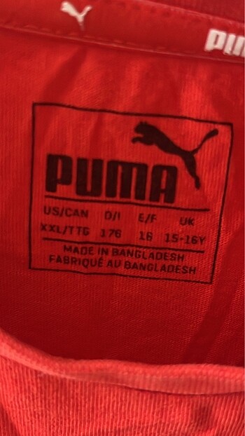 Puma puma kadin