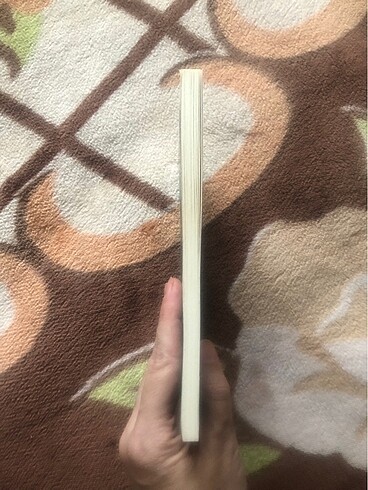 Beden Renk Ayfer Tunç Suzan Defter