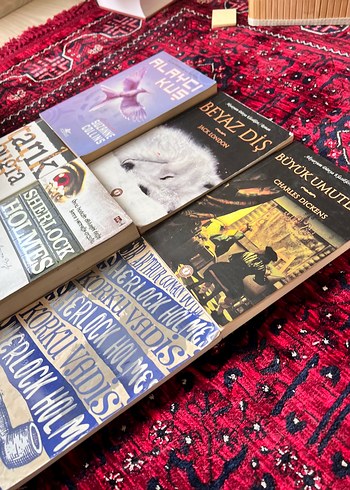 Beden Renk TOPLU UCUZ ROMAN HEPSİ 160