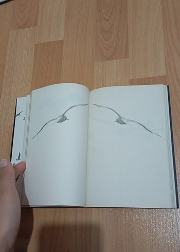Martı Jonathan Livingston - Richard Bach