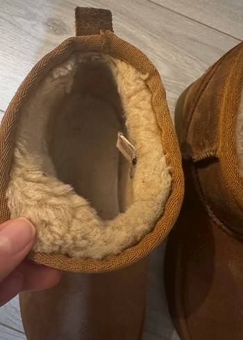 Pegia Taba Platform Bot - Görsel 3