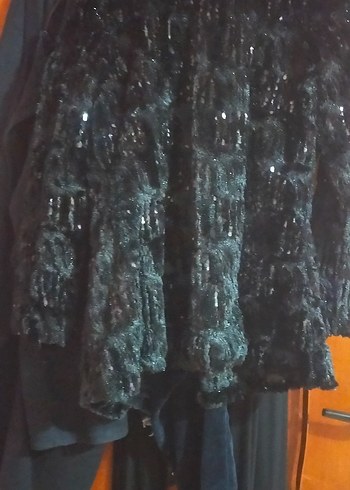 Siyah,pullu kaban - Görsel 2