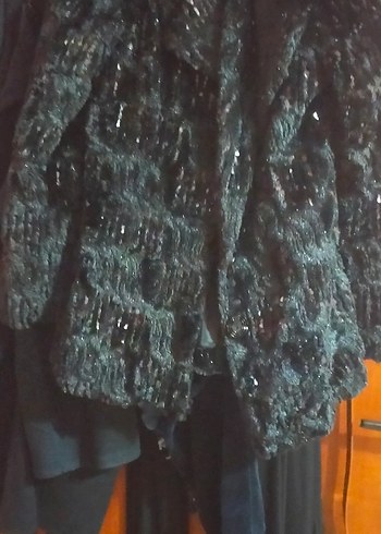 Siyah,pullu kaban - Görsel 4