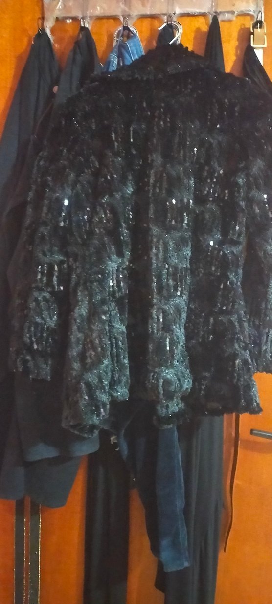 Siyah,pullu kaban - Görsel 2