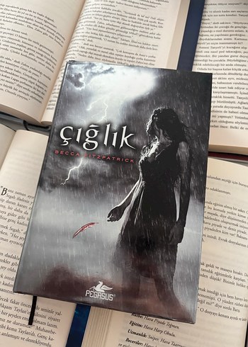 Beden Renk Sessizlik, Fısıltı, Çığlık, Final Wattpad kitapları