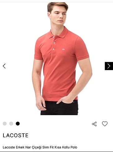LACOSTE ORIJINAL POLO YAKA TISÖRT