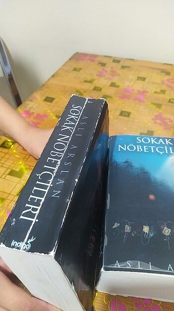 Sokak nönetçileri