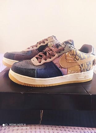 cactus af1