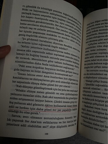 Beden Akşam yıldızı