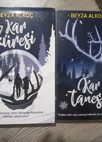 Kar küresi ve kar tanesi 