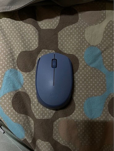 Mouse