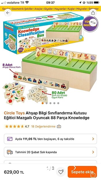 Ahşap circle toys sınıflandırma kutusu