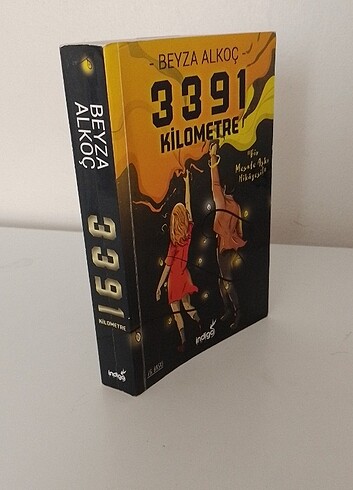 3391 Kilometre