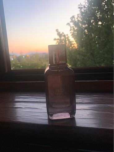 Zara Fields nightfall intense