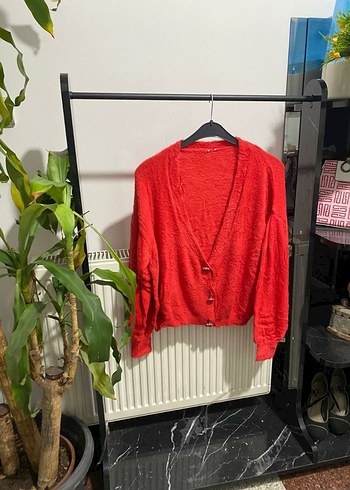 PİMKİE Marka Orjinal Ürün
Etiket kesik. Yumuşak dokulu sakallı - Görsel 7