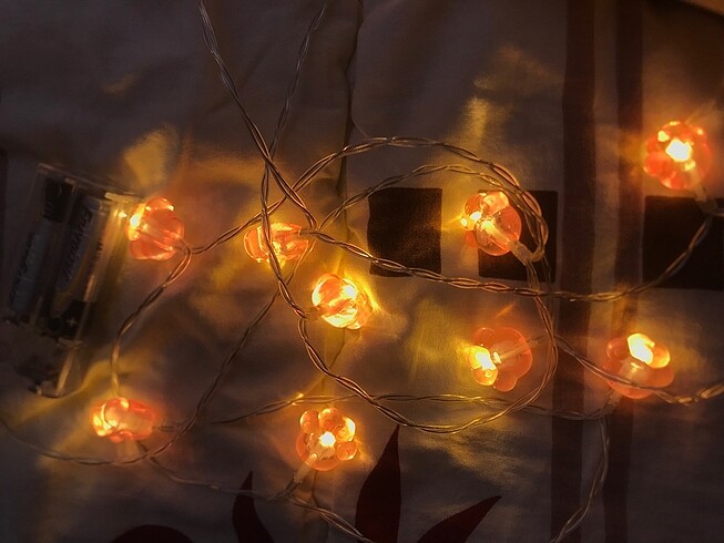 Diğer patili led ışık