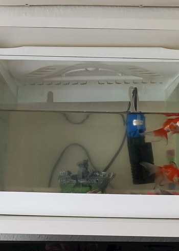 Beyaz Akvaryum Balık Tankı - Görsel 2