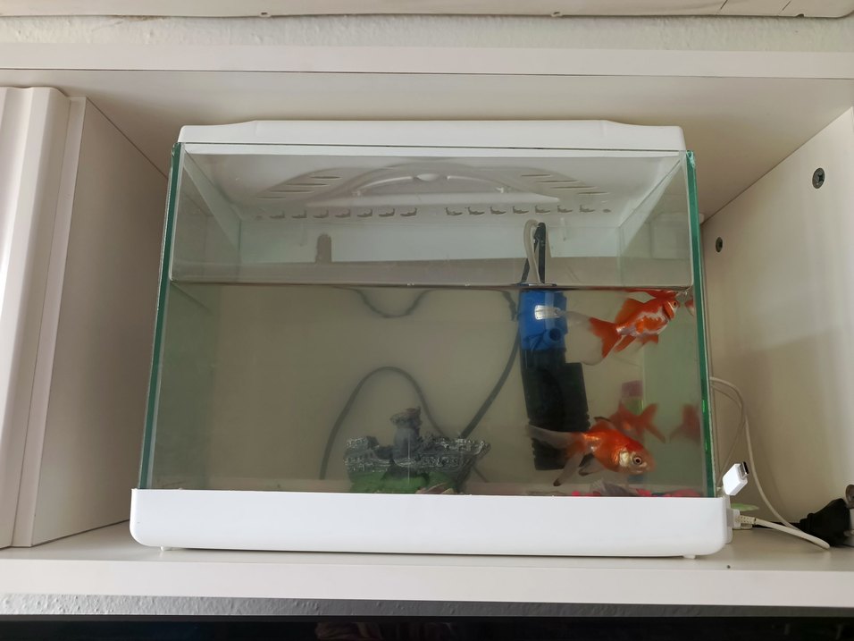 Beyaz Akvaryum Balık Tankı - Görsel 3